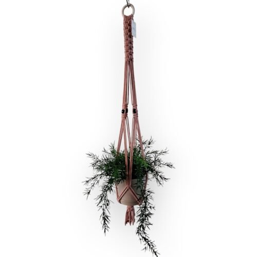 Plantenhanger Yara blush roze met beige pot 1