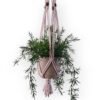 Plantenhanger Yara lichtroze met beige pot Plantenhanger Yara lichtroze met beige pot