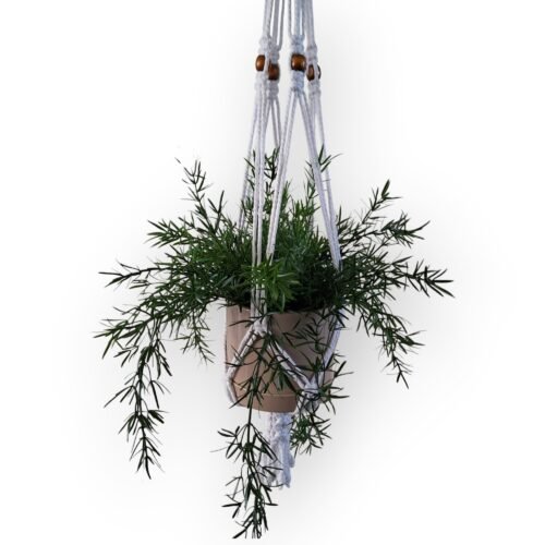 Plantenhanger Yara wit met beige pot Plantenhanger Yara wit met beige pot