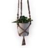 plantenhanger-lena