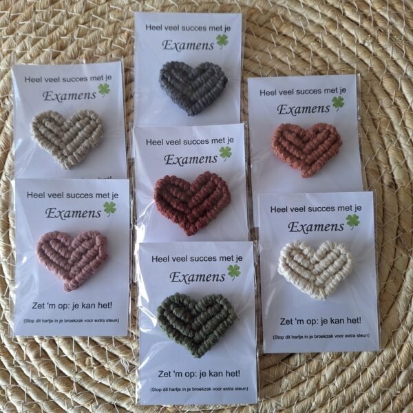 pocket-hearts-examen pocket-hearts-examen
