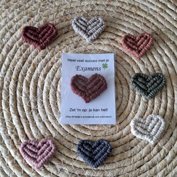 pocket-hearts-examen1 pocket-hearts-examen1