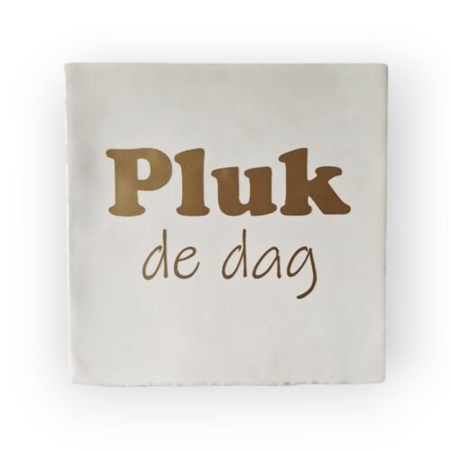 Tekst tegeltje - Pluk de dag mat goud Tekst tegeltje - Pluk de dag mat goud