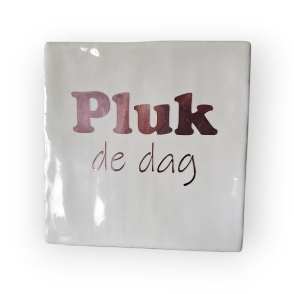 Tekst tegeltje - Pluk de dag spiegel rosé
