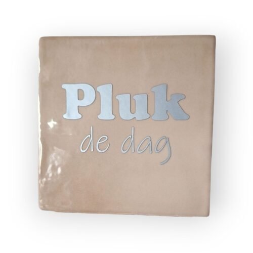 Tekst tegeltje - Pluk de dag zilver Tekst tegeltje - Pluk de dag zilver