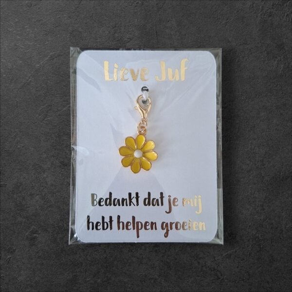 lieve-juf-kaartje-goud