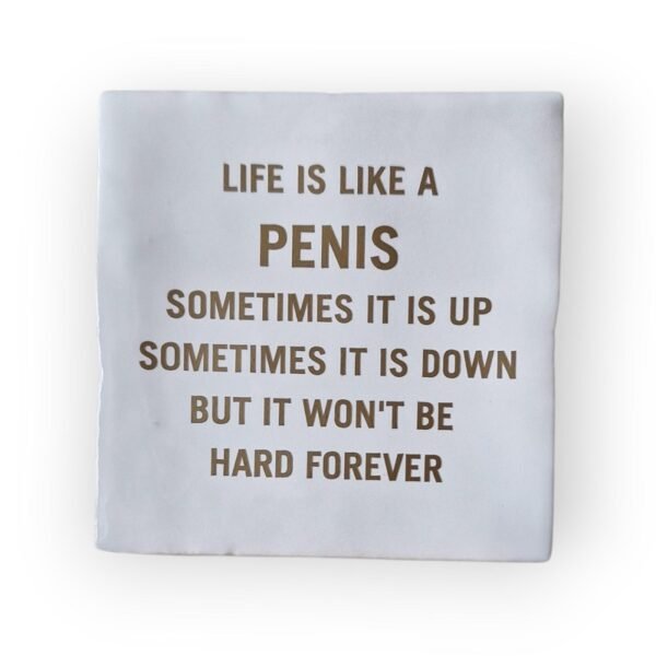 tekst-tegeltje-life-is-like-a-penis tekst-tegeltje-life-is-like-a-penis
