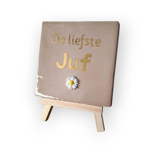 tekst-tegeltje-liefste-juf-beige-spiegel-goud