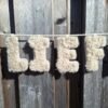 letter-slinger-teddy-lief letter-slinger-teddy-lief